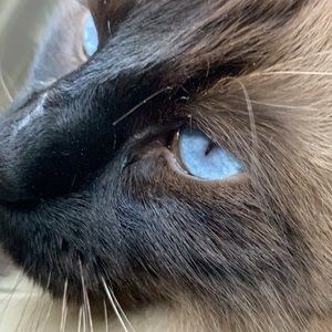 Meet your Posher, Joseph